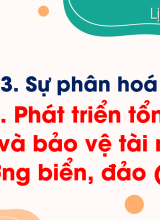 Bài 20. Phát triển tổng hợp kinh tế và bảo vệ tài nguyên, môi trường biển, đảo (Phần II)